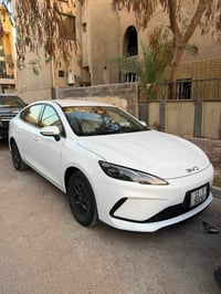 سيل 5 • ٢٠٢٥ • ماشية ٤٠٠٠
