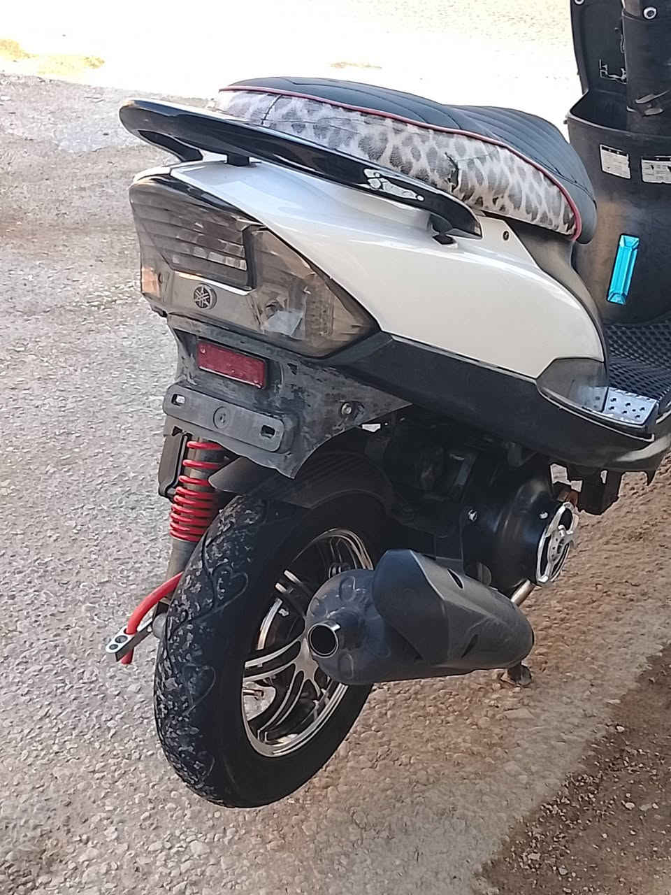 دراجه ماكس عدله البيع 
مكينه مكفوله ما مفتوحه 
كفرات بلادي 
كلجات رياضي  
صالنصه رياضي 
شيال رياضي 
دبل امامي  رياضي 
دراجه جديده 
مكاني نجف الاشرف 
رقمي ***********
