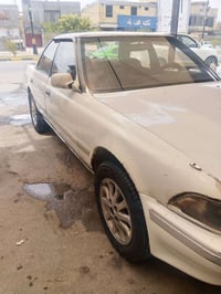١٩٩١ • نضيفه • سنويه ٢٠٢٩