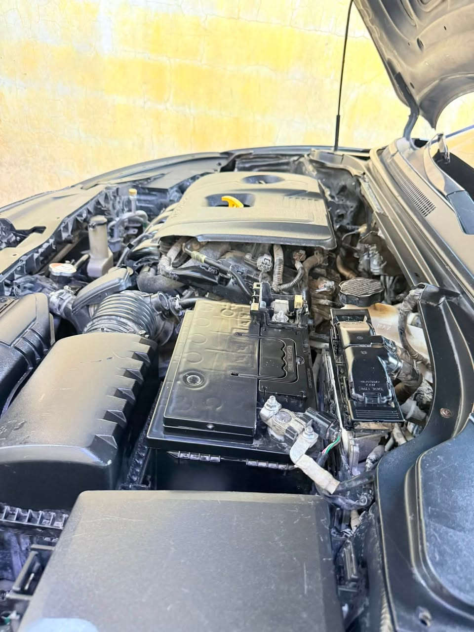 هيونداي فولستر 2021 – للبيع أو المراوس
• الموديل: 2021
• المحرك: 2.0L DOHC (2000 دوش)
• المسافة المقطوعة: 60 ألف كم فقط
• الفئة: فول مواصفات (عدا الفتحة)
• المواصفات الإضافية: بصمة تشغيل ودخول ذكي، شاشة لمس تدعم أبل كاربلاي وأندرويد أوتو، كاميرا خلفية، تحكم ستيرن كامل، مثبت سرعة، وضعيات قيادة متعددة (Drive Modes)، ويل كب سبورت، أضواء LED نهارية، أنظمة أمان وحفظ توازن (ABS / ESP).
الحالة والضرر:
• الوارد: أمريكي (ضرر بنيد وجاملغ)
• التصليح بالعراق: جاملغ خلفي صوب السايق
• الميكانيك والكهربائيات: كير ومحرك بشرط جديد، تبريد ثلج، تخم تاير جديد، سيارة جاهزة للمشي بدون أي مصاريف.
الرقم والسنوية:
• الرقم: كربلاء (معوقين) – باقي سنة واحدة وتتحول حرة رسمياً.
معلومات التواصل والبدل:
• الخيار: بيع كاش أو مراوس بسيارة كورية (4 أبواب)
• المكان: النجف – الرضوية
• هاتف التواصل: ***********
السعر 95 وبيها مجال

