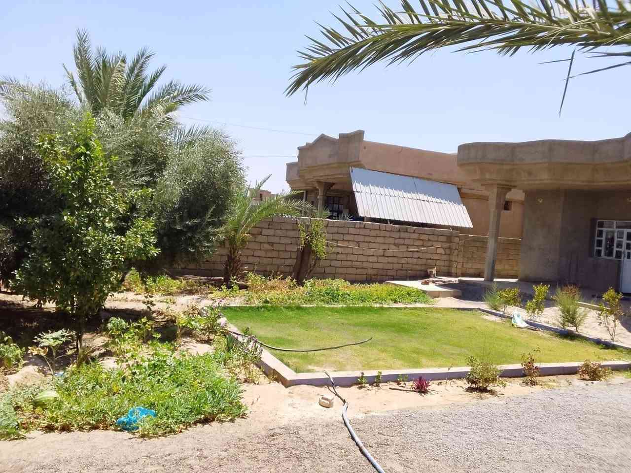 بيت زراعي • ٧٠٠م • ٢٠٠م بناء