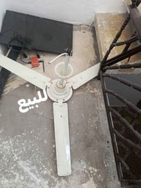 بلازما • شغاله • للبيع