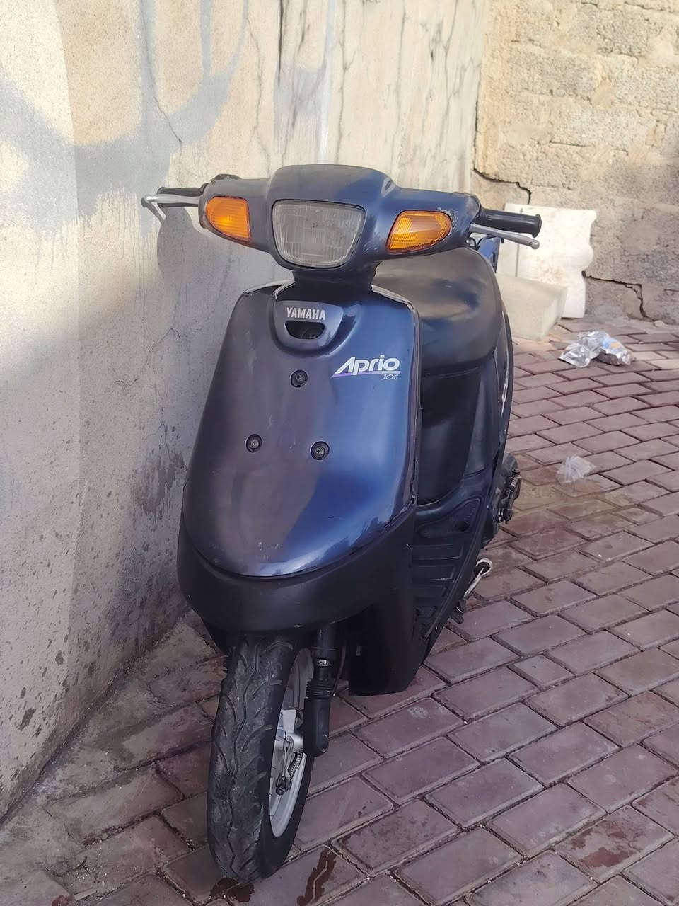 ابريو • شغال • معمر