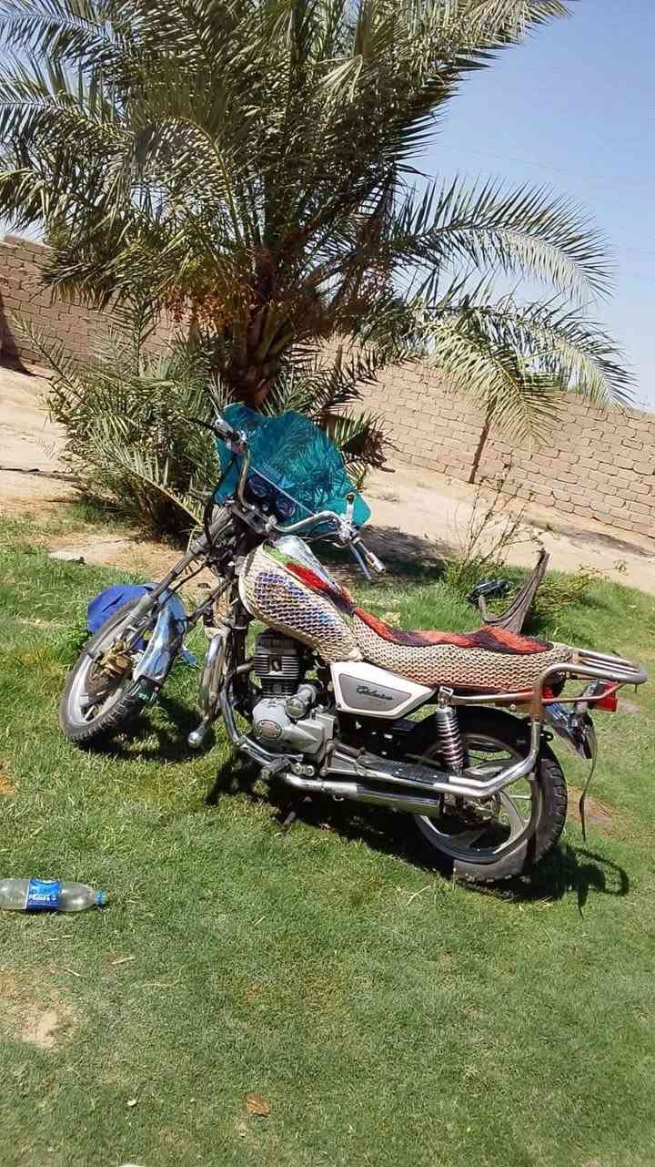 جني • ٣٥٠ • للبيع