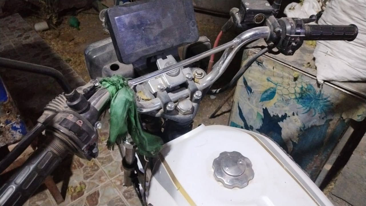 شاينك • صيني • ٢٠٢٣