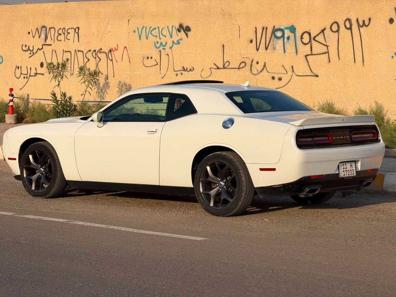 دوج جالنجر • SXT بلس • رقم بغداد