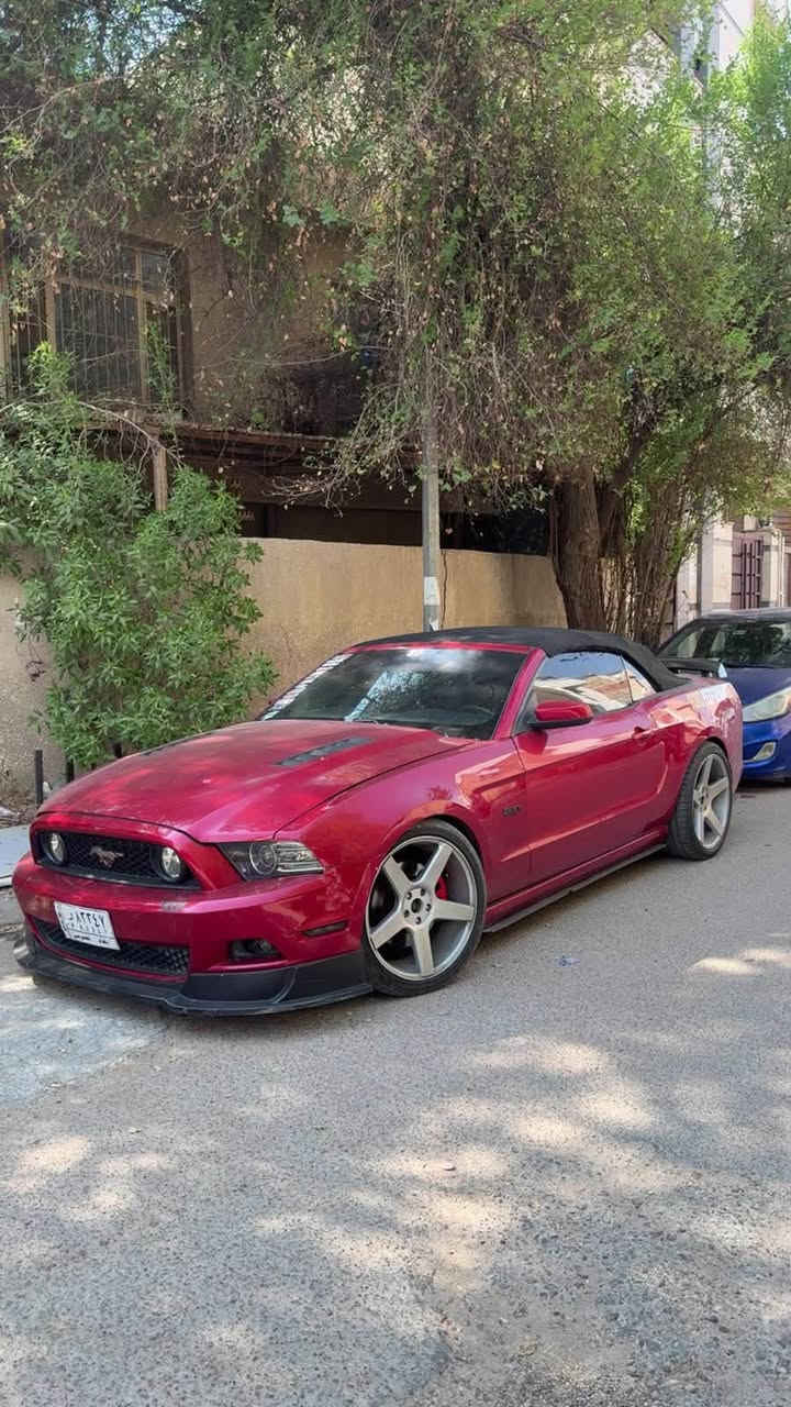 Mustang GT premium 🐎❤️‍🔥
الموديل: [ 2013 ]
المحرك: [ V8 / 5.0 ] 🔥
الگير: [ أوتوماتيك ]
الممشى: [ 68 الف ميل ]
اللون: [ أحمر - مميز ] 🚩
الحالة: [ حادثها صندوك وشوية بارد بـ الجاملغ الخلفي بامريكا ، وبـ العراق صار بيها جاملغ امامي جهة السايق وايرباك الدركة طاك + صور الحادث موجودة ]

[ لمعرفة السعر اترك تعليق داخل المنشور وسوف يصل اليك مباشر عبر رسالة نصية ] 📥

[ الـــــمـــواصــفـــــات ]

- بريميوم 7 الوان 
- شاشة كبيرة 
- مقاعد جلد 
- كاميرا
- انارة تحت الرجل 
- سستم سماعات ( شيگر )
- تحكمات ستيرن 
- وبقية المواصفات المعروفة 

[ الاضـــــــافــــــاات ]

- تضليل أمـريكي 100%
- لحية RTR
- دفيوزر + سبويلر شيلبي 350 
- ويل فورزن نجمة قيـاس 20 تو سايز
- تفريغ + داون بايب
- دبات Ht Power + بوابات ريمونت 
- حلوك اكزوزت Corsa
- برمجة سيفتي ( كت اوف + طلقات - استعمال يومي )
- الصدر جديـد + التايرات جديدة 

الموقع: [ بغداد / اليرموك ] 📍

للتواصل واتس اب او اتصال : [ *********** ]
