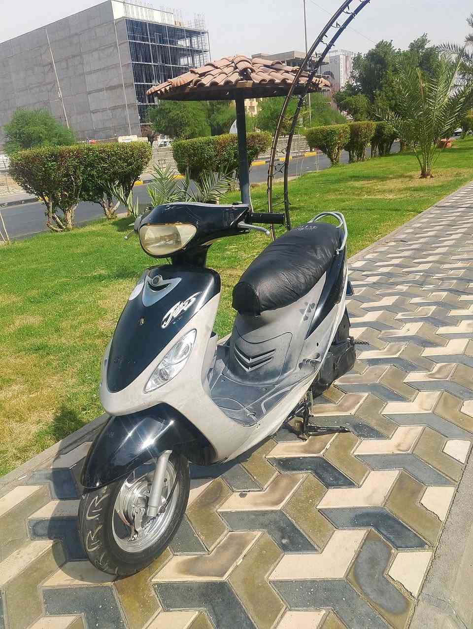 قجمه • مامفتوحه • لايت زنون
