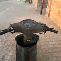 دلفين • للبيع