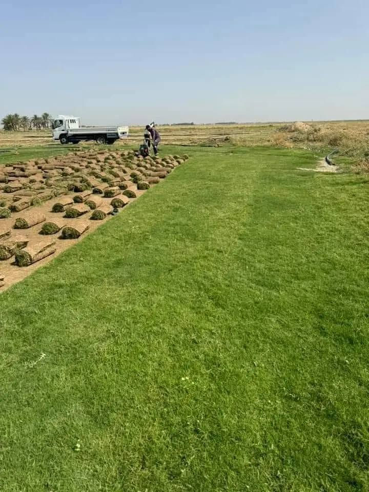 📢 موسم جديد وجودة أعلى بأسعار منافسة
💚 متوفر جميع انواع الثيل الطبيعي
✅ الثيل الامريكي جودة عالية وعمر طويل
✅ الثيل الهندي لون زاهي وتحمل قوي
✅ الثيل الايطالي مظهر انيق وجذاب
✅ الثيل الفرنسي فخامة ولمسة مميزة
🚛 توصيل لباب البيت
🔹 فريق مختص يصل اليك اينما كنت
🔹 تجهيز حدائق ملاعب متنزهات ومشاتل
🔹 توصيل سريع لجميع المحافظات
📌 اسعار تنافسية حسب النوع
📞 للحجز والاستفسار تواصل معنا ```

***********
***********
