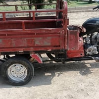 ستوتة • دايوان • ٢٠١٥
