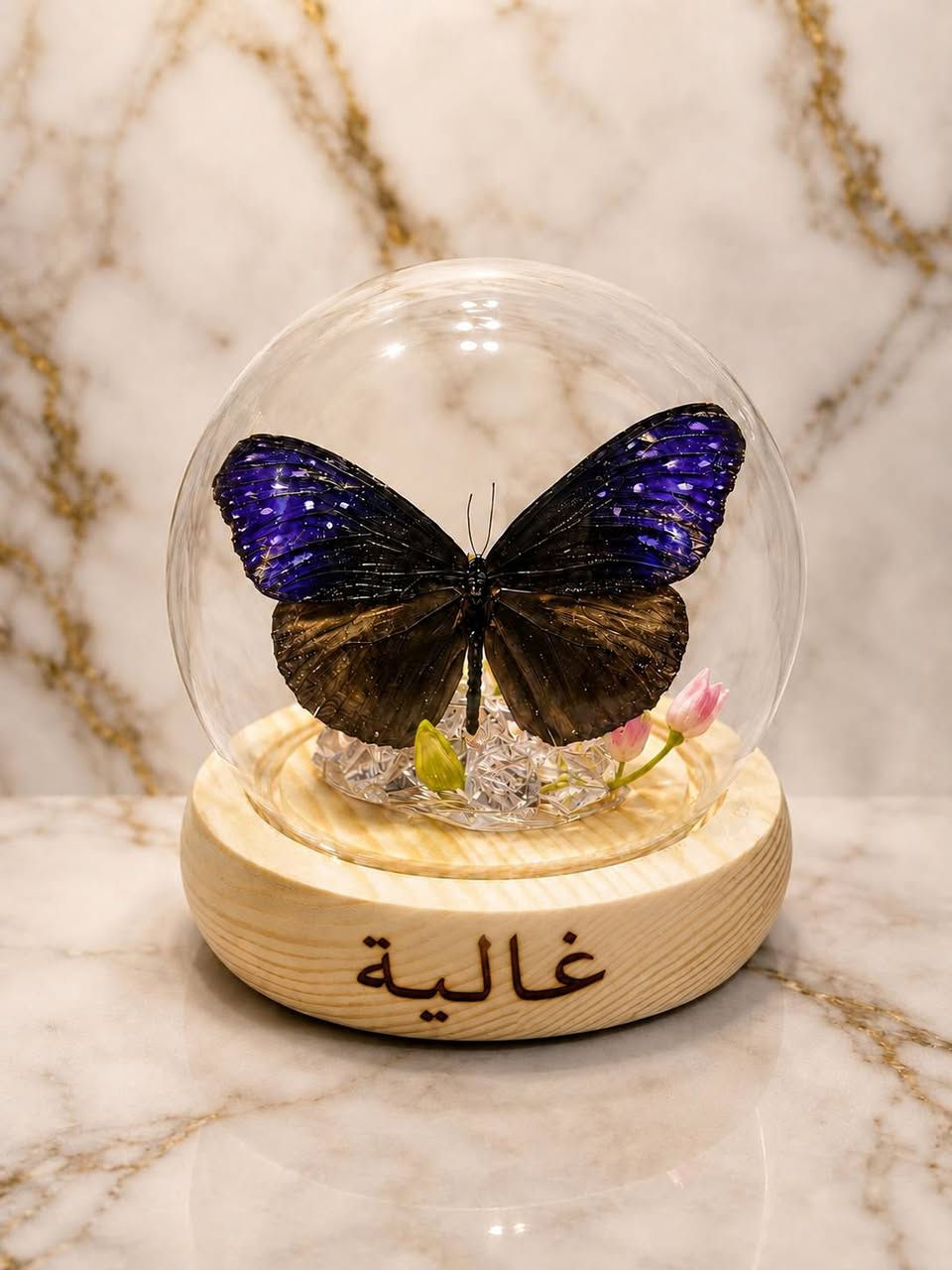 فراشه حقيقيه محنطه 🦋 
داخل كرة التوليب المضيئه مع حفر اسم حسب الطلب 
سعر ب30,000 مع توصيل 
للحجز والاستفسار مراسلة البيج 🚗
