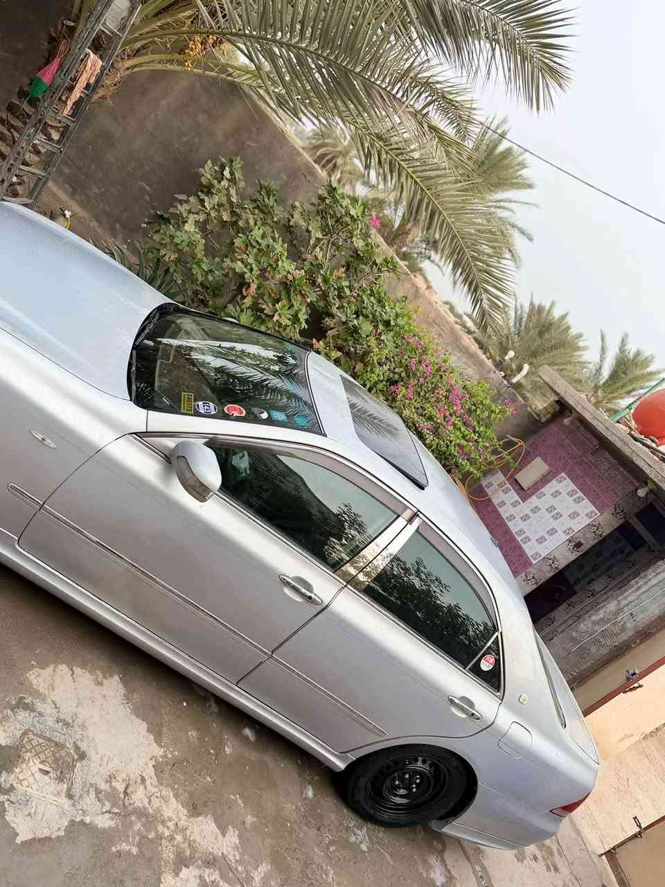 شاهينه • رقم نجف • بابل