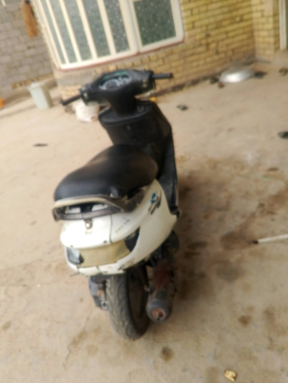 فراشة • الحله • واتساب
