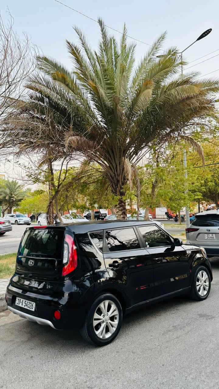 صول للبيع 2017
مكينه 2000دوش

سعر 98بيه مجال

حادث جاملغ بنيد فقط
بيه بابين صبغ بل عراق

موصفات 
1-ويل كب
2- كامره
3- تحكمات ستيرن
4- تخم تاير جديد
5- تبريد ثلج 
6- كير مكينه كله جاهز
7- حداديه جاهزه
8- رقم كربلاء نكليزي 
هزه وسنويه ورقام جدد

مكاني كربلاء 
رقم ***********
