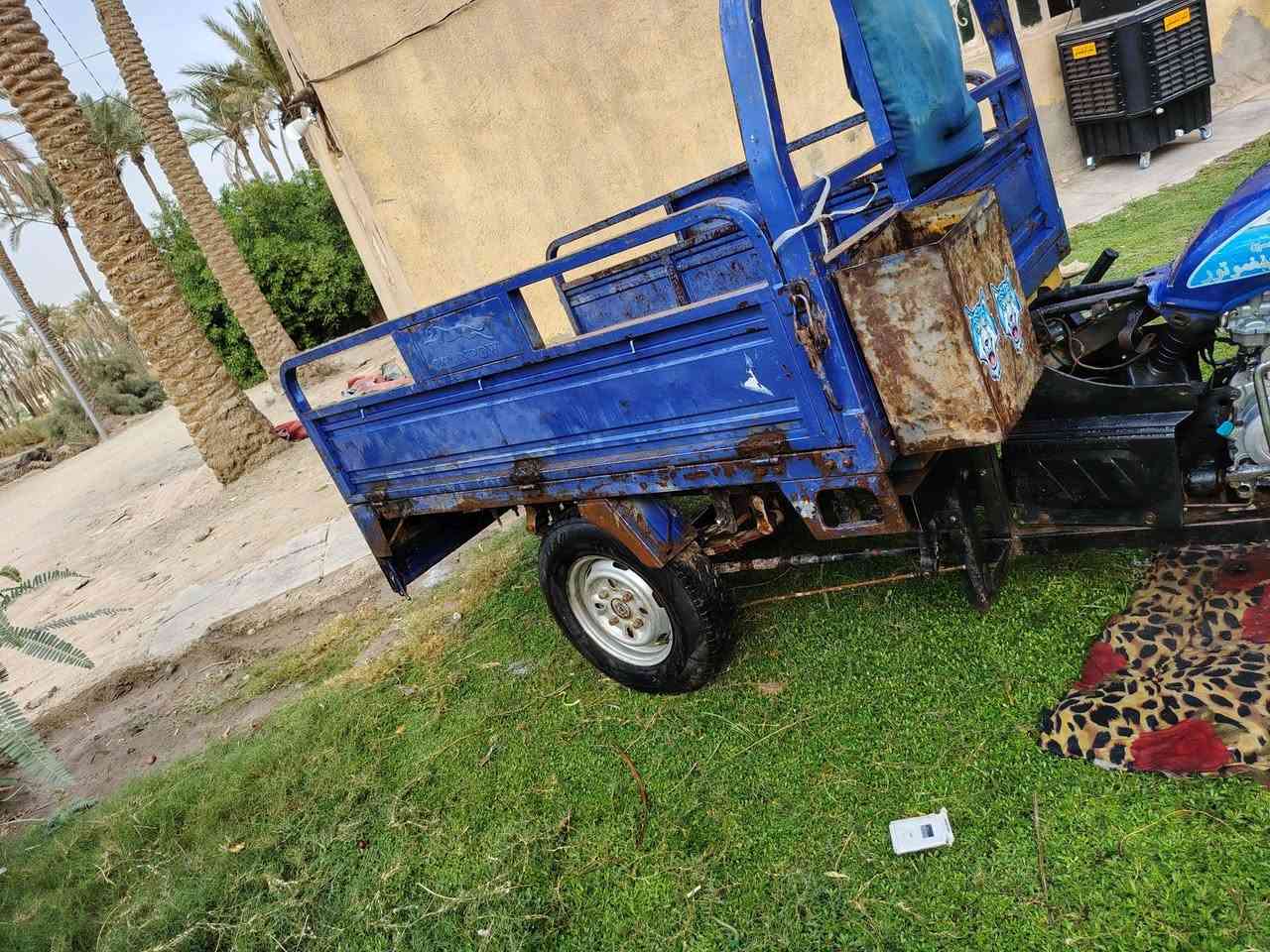 موديل ١٤ • رقم سنوية