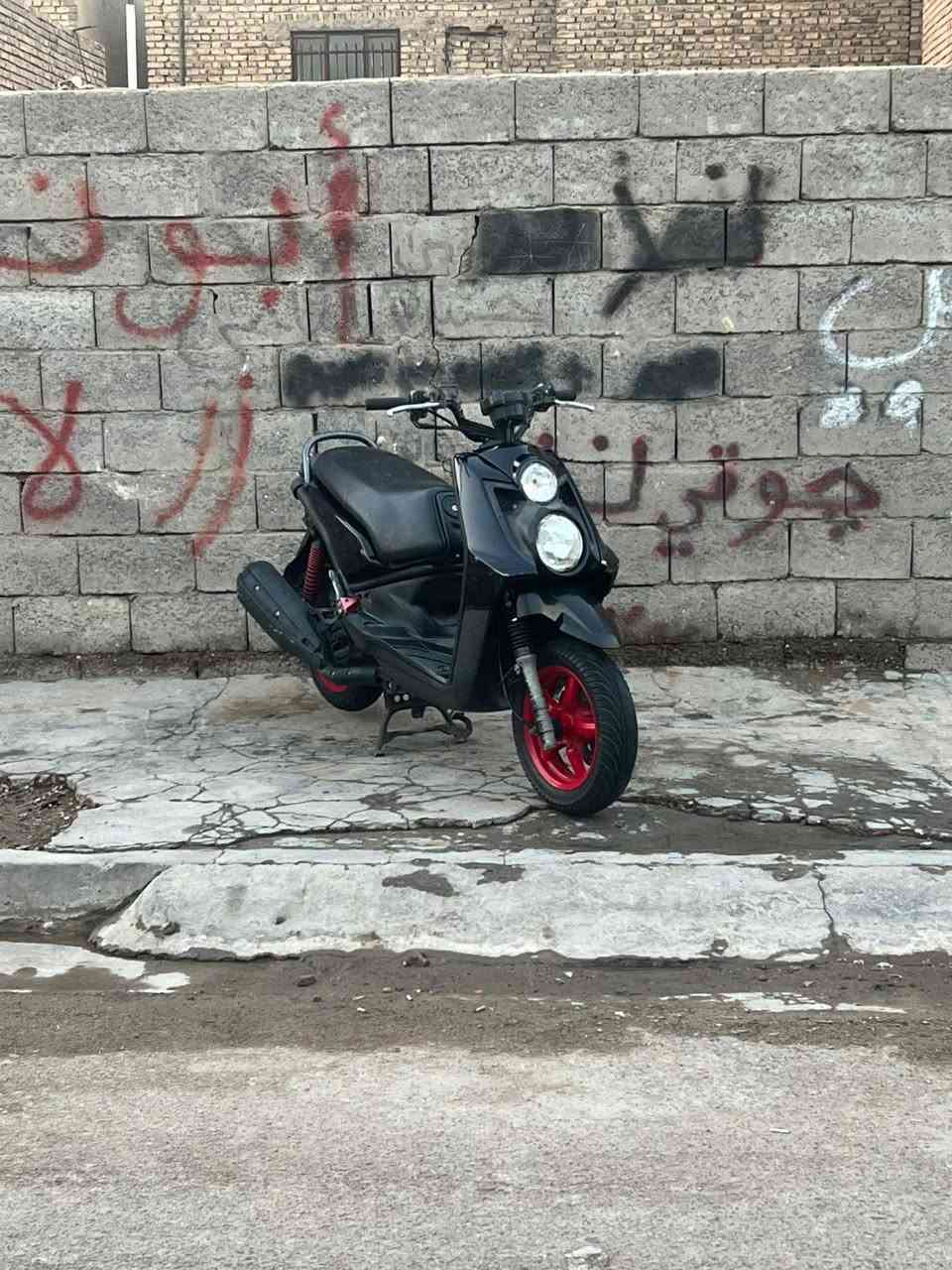 سكنس جبلي • رنمبه • كفالة عامة