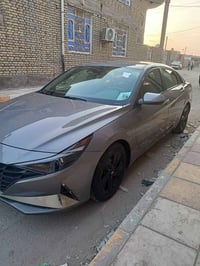 النترا ٢٣ • وارد امريكي • مكفوله