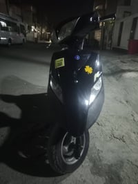 ثعلب للبيع مكفوله ب650مكاني بغداد الجديده07700495654