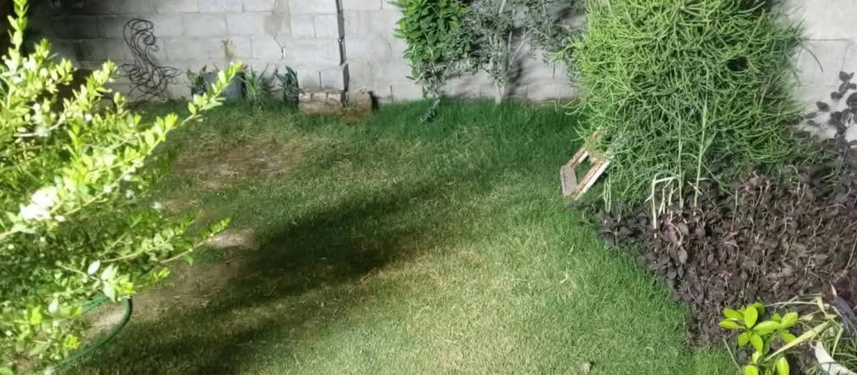 بيت حواسم 100م بيت خطين كهرباء الحسينيه مسقط شارع شركه سعر 10 وبي مجال  ولبيت على شارع 
***********
