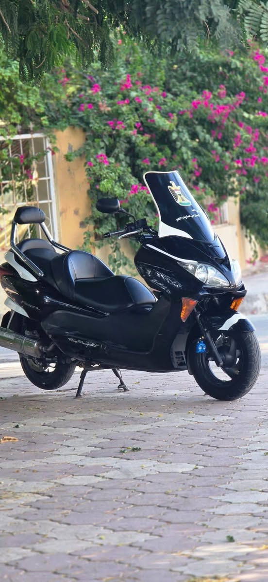 فورزه • 08 • ديالى