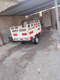 ستوته • ٢٠٢٠ • وراق كامله