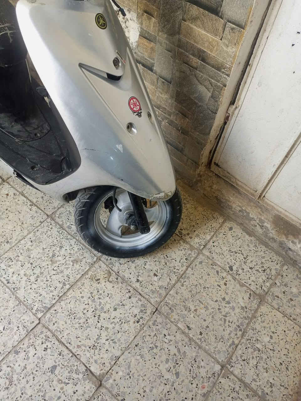 عصفور • سلف وهندل • بوش وبستم
