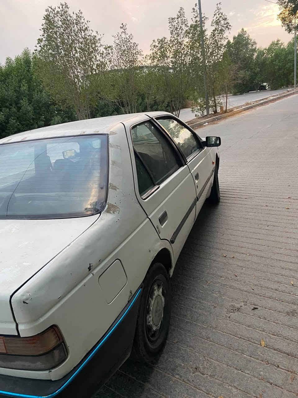 بيجو روا • ٢٠١٠ • مجال للشراية