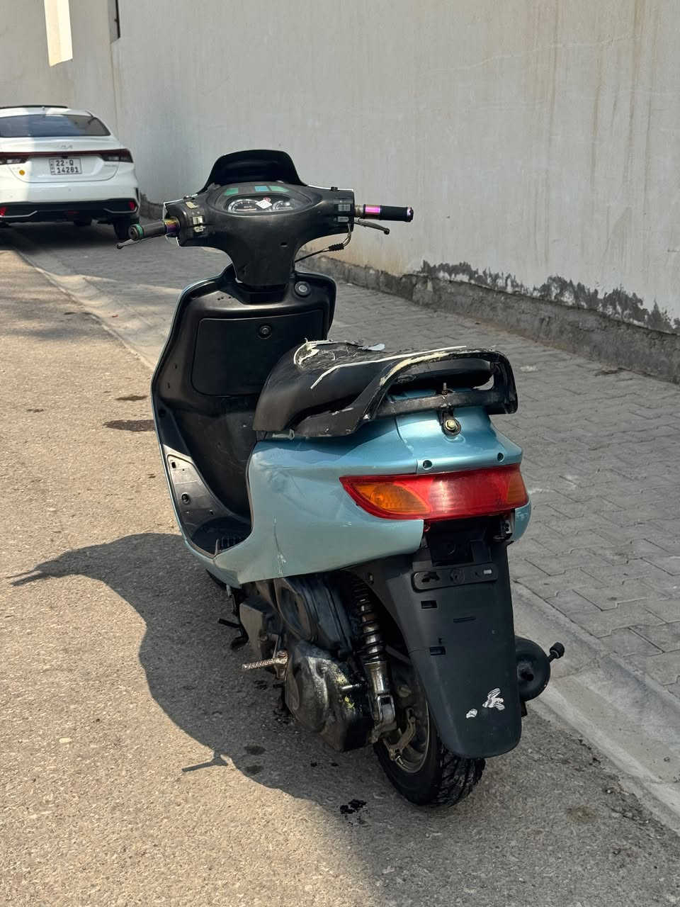 فراشة • فحل • مكينه ناعمه