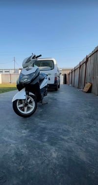 سكنس فحل • جديده • أواق كامله