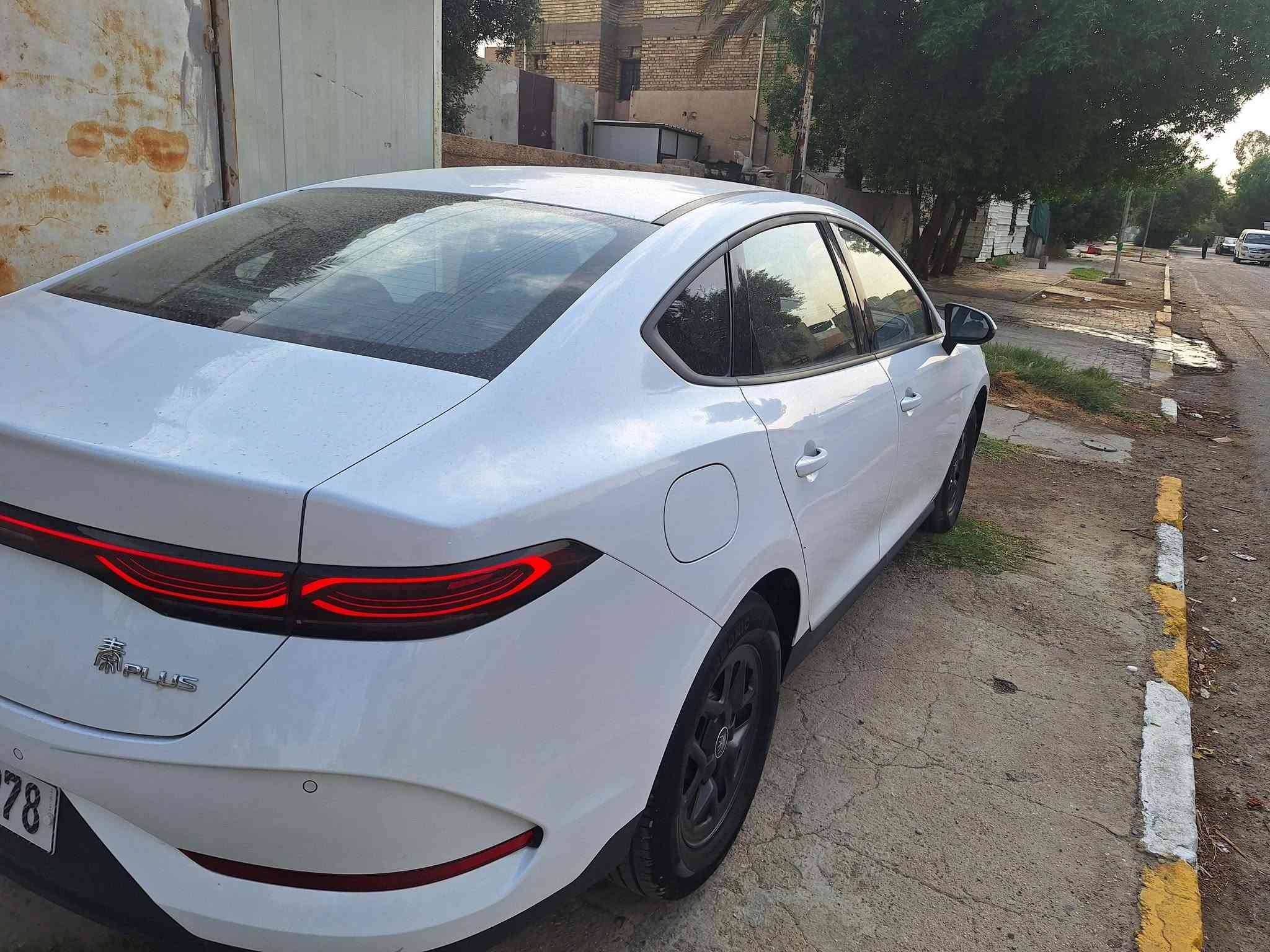 كن بلص • ٢٠٢٥ • البياع