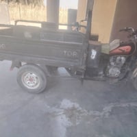 ستوته • جمره • ٢٠١٩