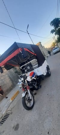 ستوته • موديل ٢٠١٩ • كفاله عامه