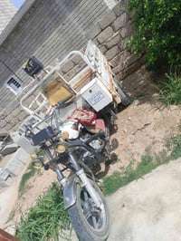 ستوته • نضيفه • بلاديه