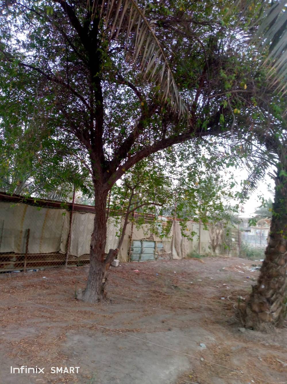 البصرة شارع سيد كاضم بسمي • ٤٨٠م • على نهر