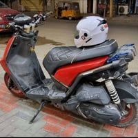 سكنس جبلي • مراوس • نوزل