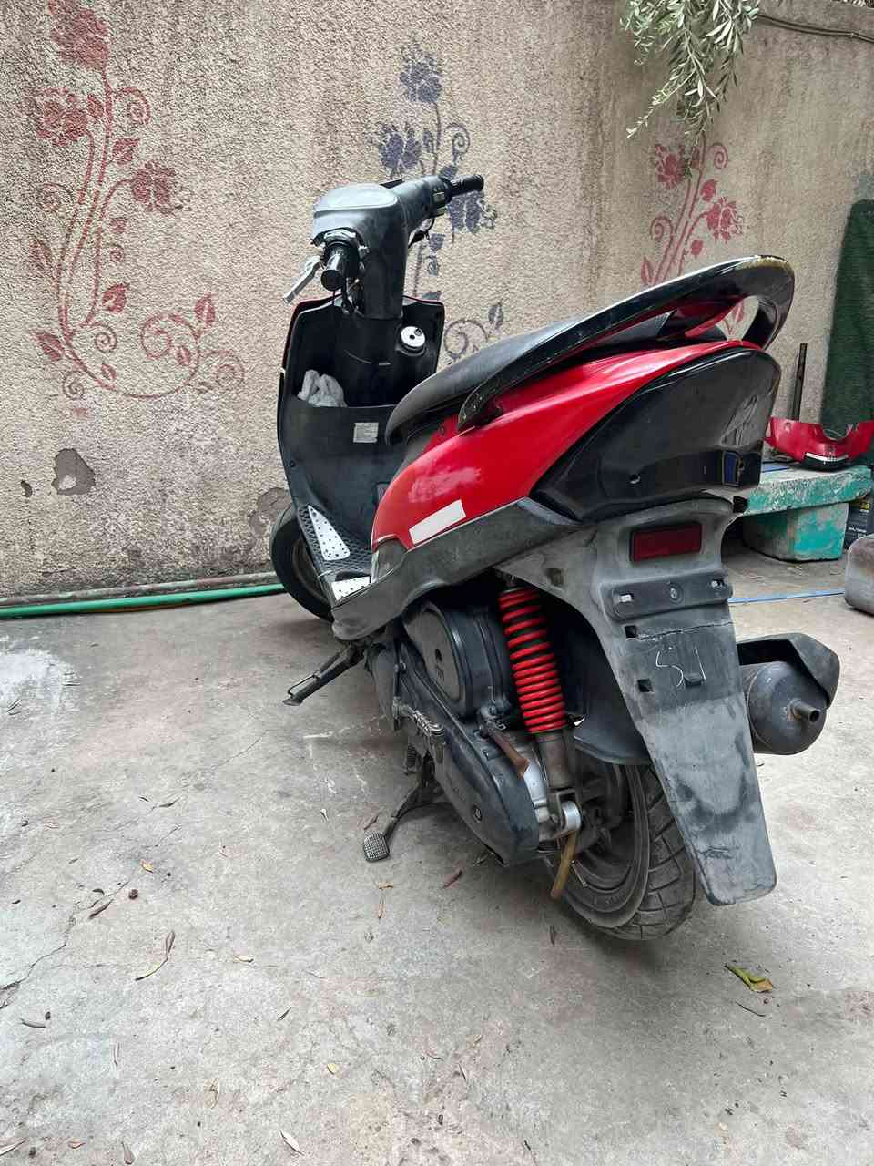 ماكس عدلة • بلادية • نشطه