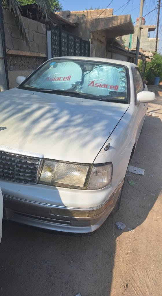 بطة منفصل • سنوية منتهية • ابي الخصيب