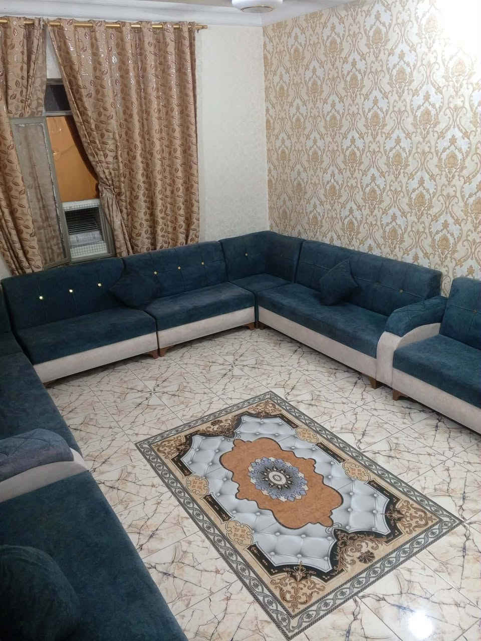 تخم قنفات • ١٠ قطع • قابل تفاوض
