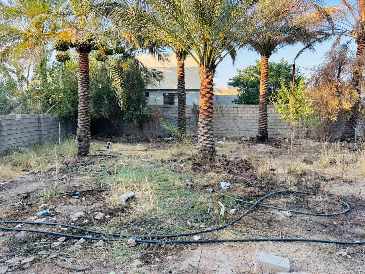 السلام عليكم عندي قطعه ارض واجهتها ١٣ والنزال ٤٠ قطعه تجاري على طريق بغداد الخالص في منطقة الغالبيه للاستفسار *********** أو ***********
