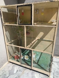 قفص • حديد • مرتب