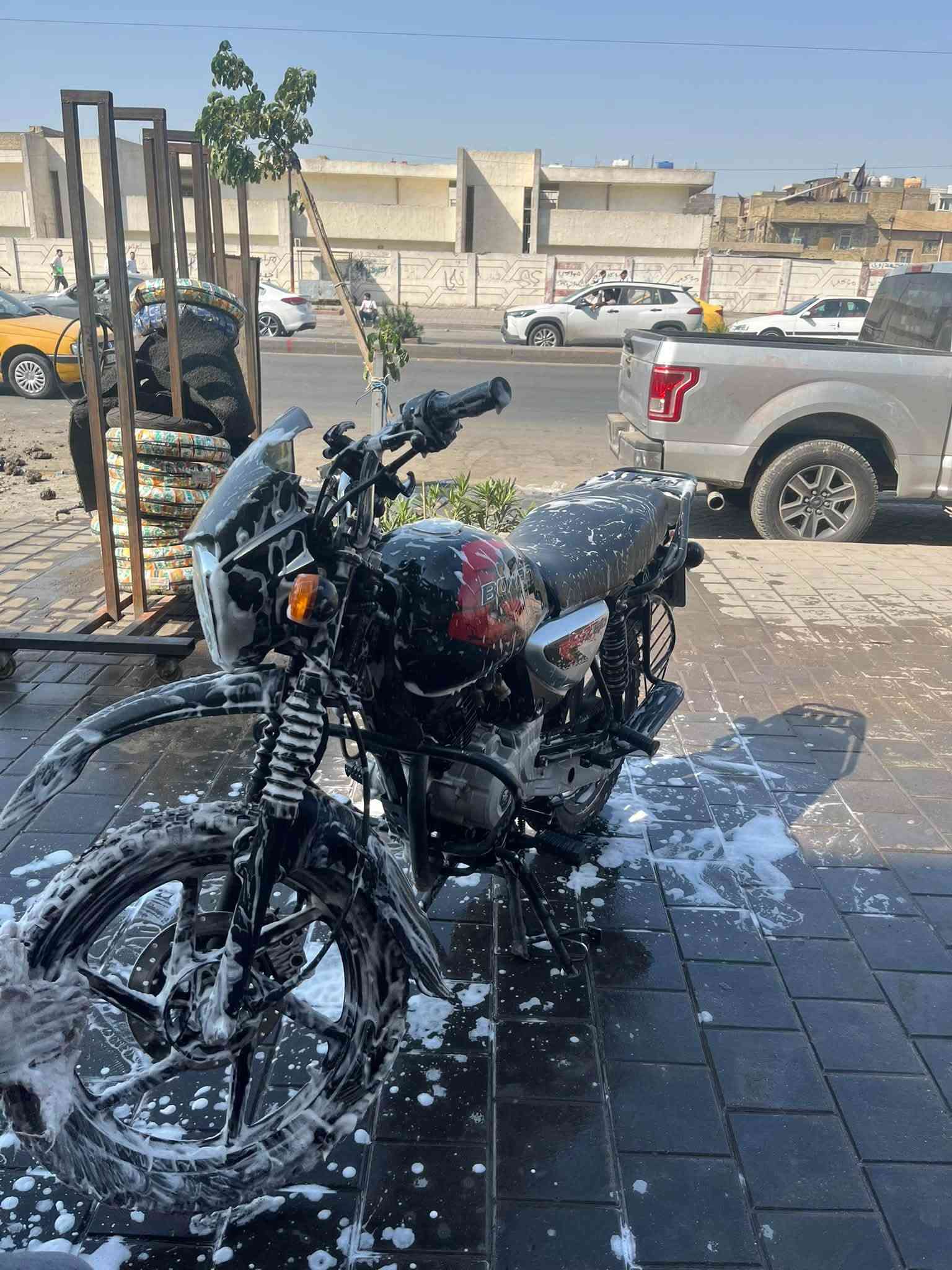 بوكسر جبلي • ٢٠٢٣ • رقم وسنوية