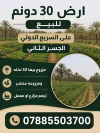 ارض  ٣٠ دونم للبيع على السريع الدولي  الجسر الثاني   مزروع بيها 50 نخل...