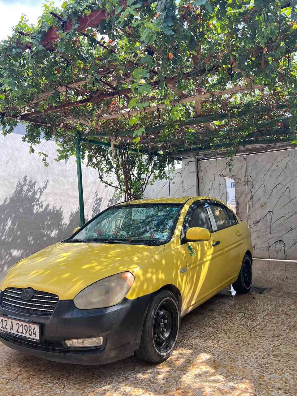 اكسنت ٢٠٠٩ • عادي • معجون