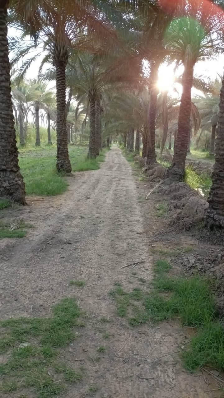 بيت للبيع • البراهميه • دونمين