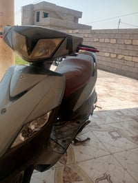 ماكس ثعلب • للبيع
