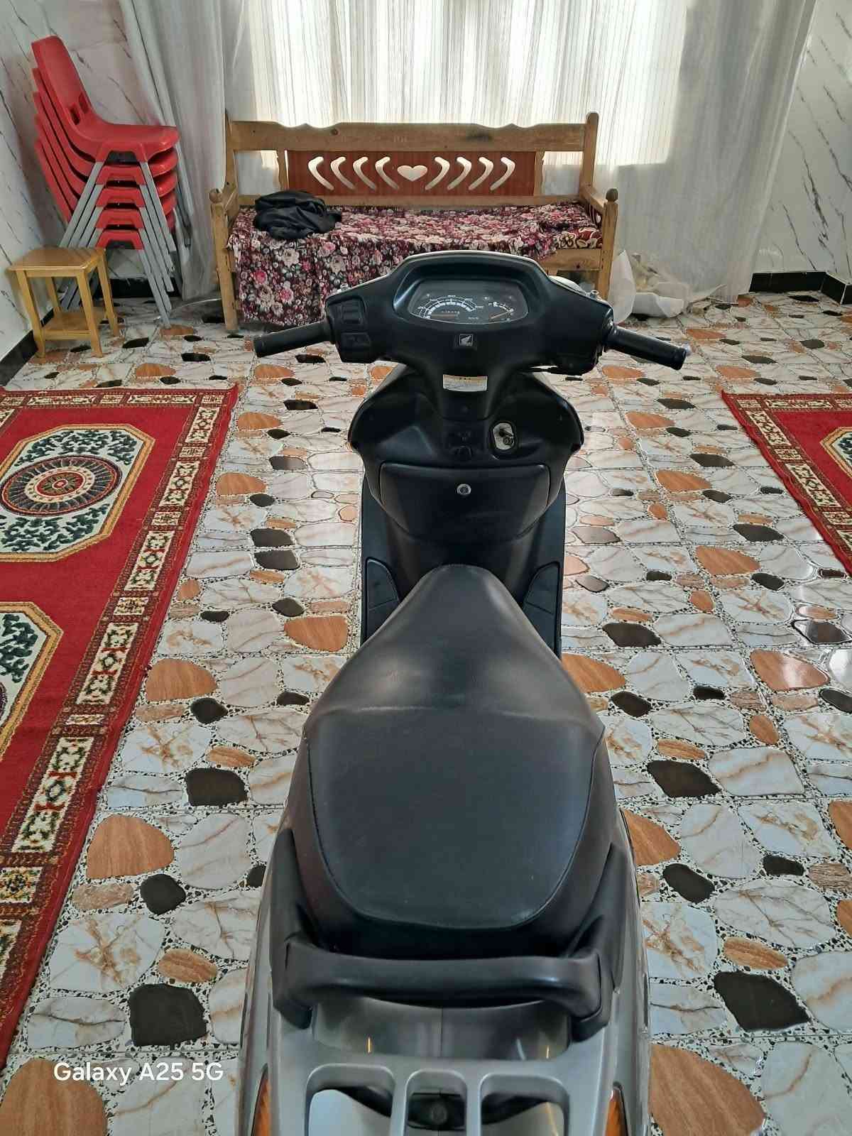 سبيسي • ياباني • مكفوله