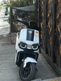 وحش كون للبيع  عنوان بغداد العامريه  07736023113