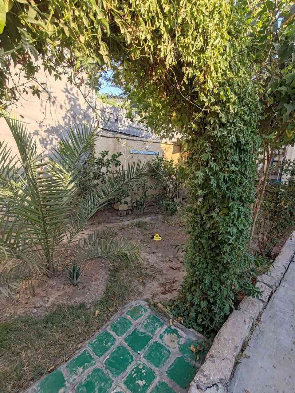 من رخصت الادمن المحترم بيت 200متر موقع ممتاز جدا قريب الشارع العام المسيب طريق ابو الجاسم بيت بلوك عكاده نظيف جدا السعر ب42 يرهم قسط تدفع 30 والباقي قسط *********** او مراجعه مكتب دلهي مقابل مطعم البهار
