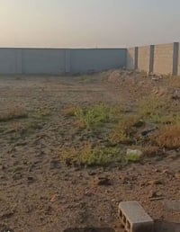 أبو زرع • دونم • سند تحويل سهام